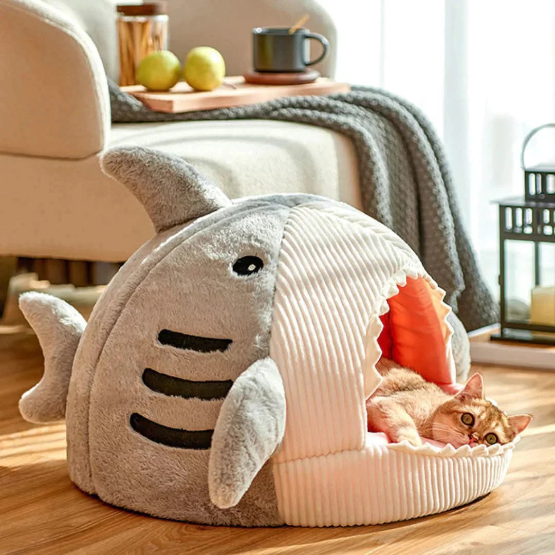 Pet Toys